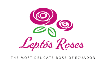 Rosas